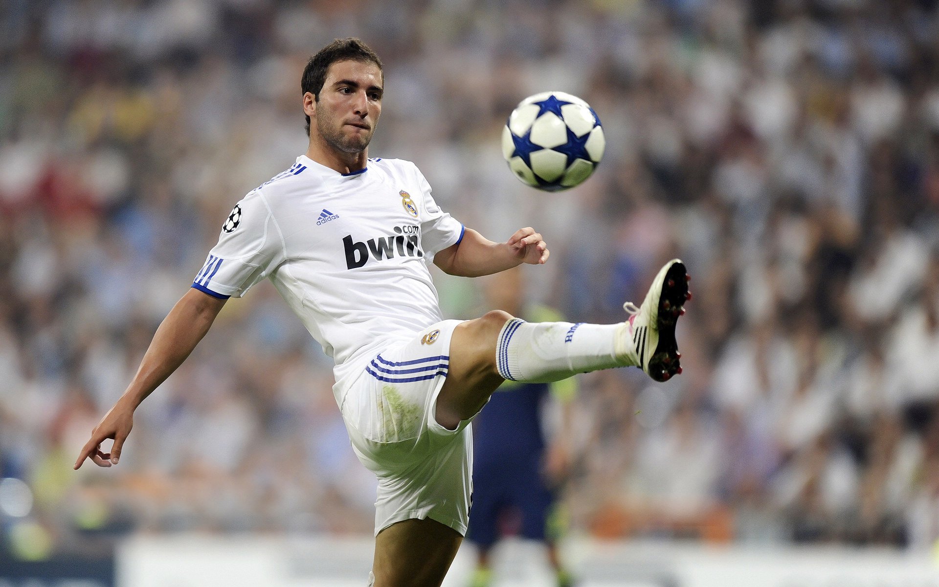 kaiyun sports-年轻车手实力崛起：未来之星的闪耀时刻